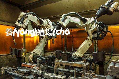 養(yǎng)殖場(chǎng)廢水處理設(shè)備價(jià)格：究竟是貴？還是值！